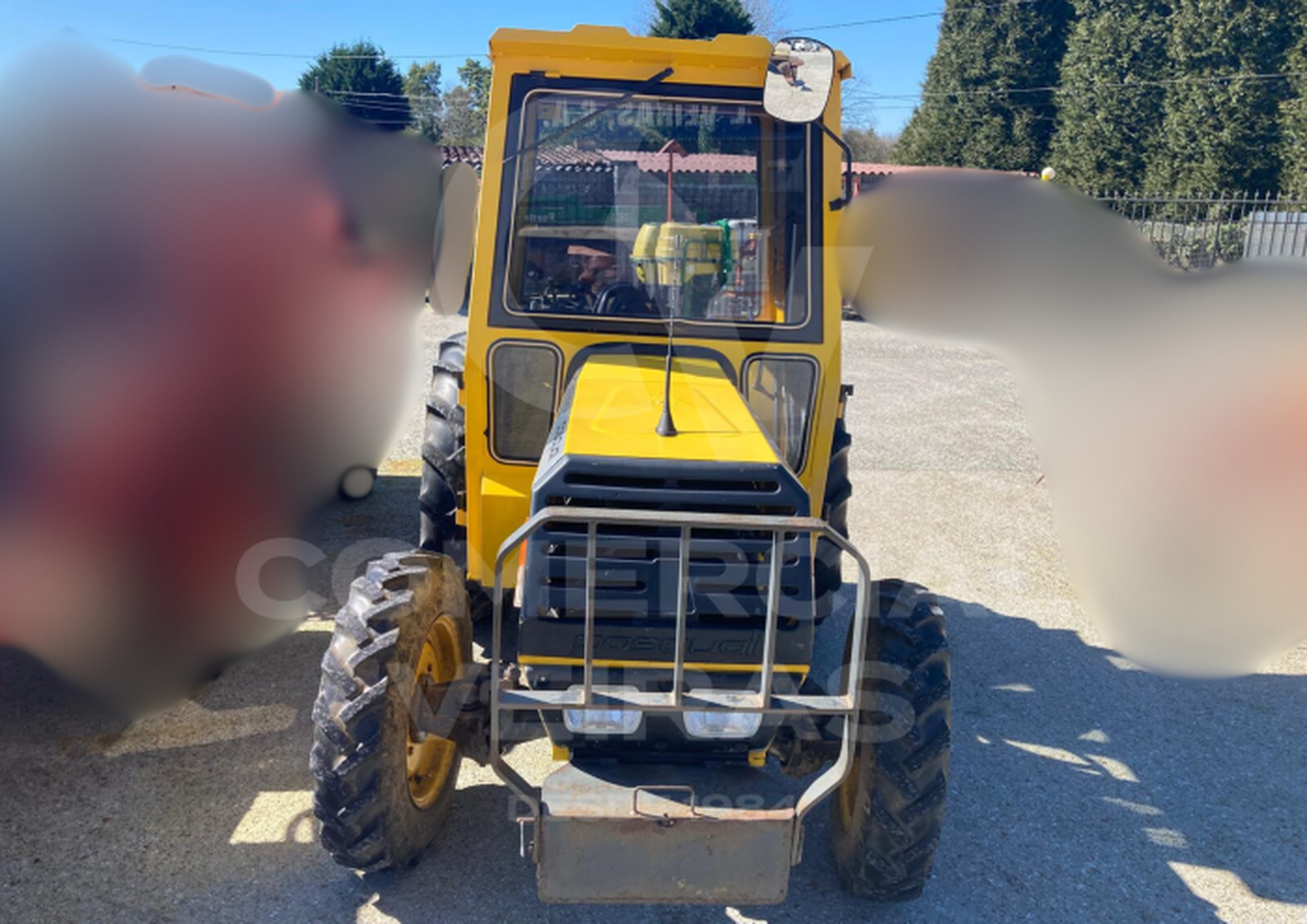 PASQUALI 441 Slider Image