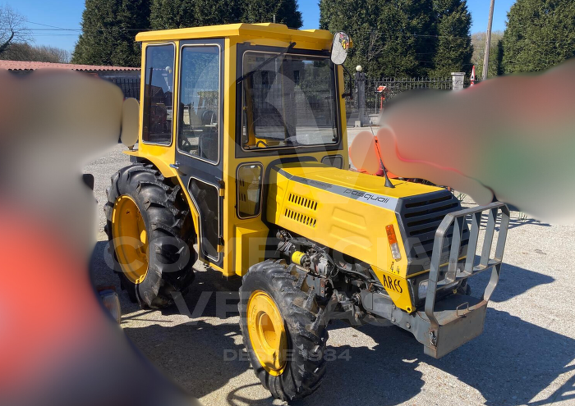 PASQUALI 441 Slider Image