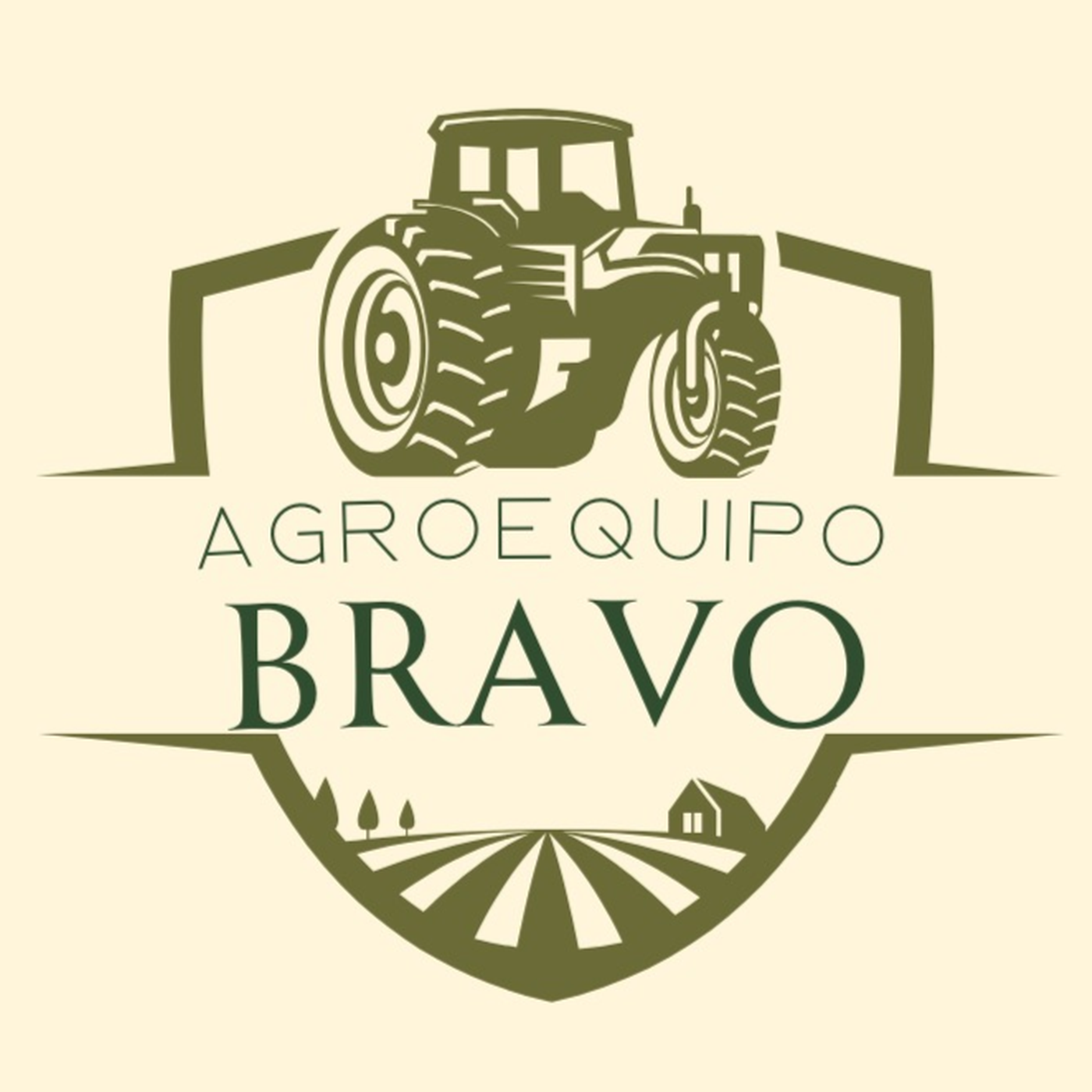 AGRO EQUIPOS BRAVO LLC