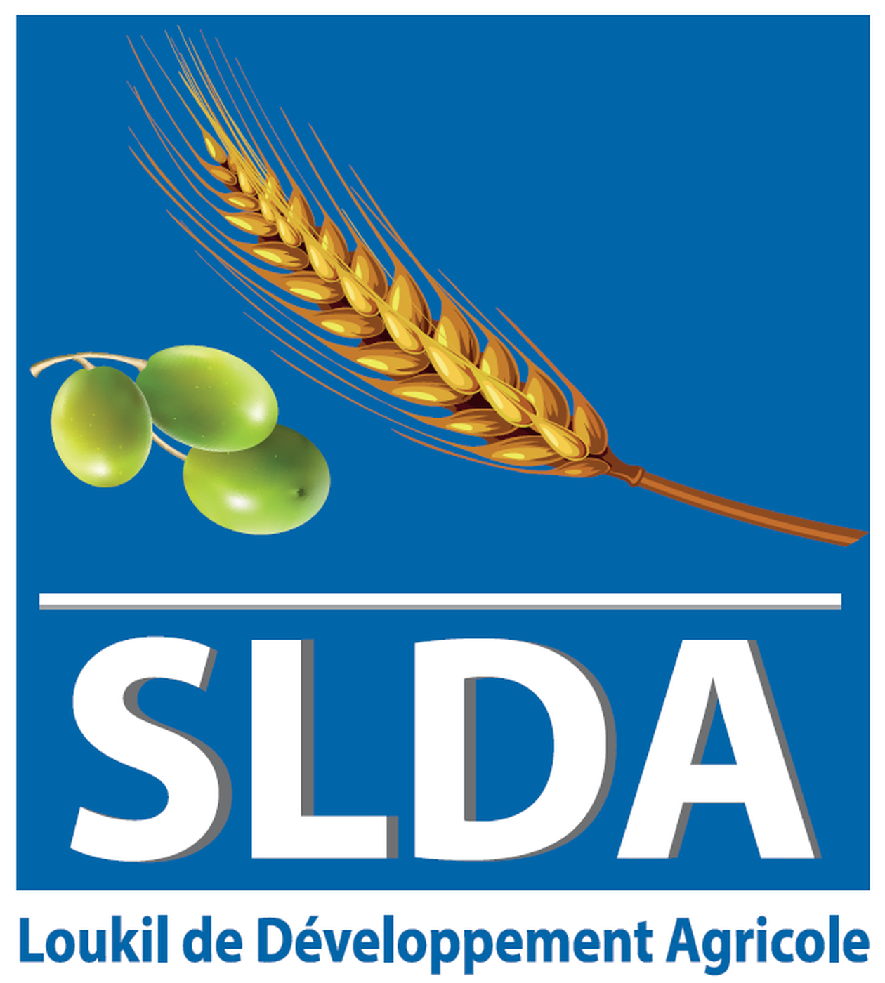 LOUKIL DE DEVELOPPEMENT AGRICOLE 'SLDA'